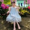 Girls' Thin Summer Dress - Stylish Princess Style