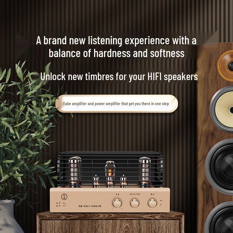 Youtang MK8700 Hi-Fi Tube Amplifier (CN version)