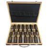 Woodworking Carving Knife Set 12 Piece CRV 60 Steel Blade Wooden Handle with Box for Kitchen Carving Equipment and Crafting