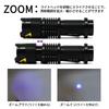 KOOLBEAM KB-43 365nm Mini LED UV Black Light, Uses One AA Battery, 365nm, for Anisakis, Fungus Detection, and Cat Fungus