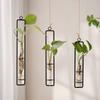 Wall Hanging Test Tube Vases Thickened Glass Vase Gardening Supplies Hanging Glass Planter  Garden