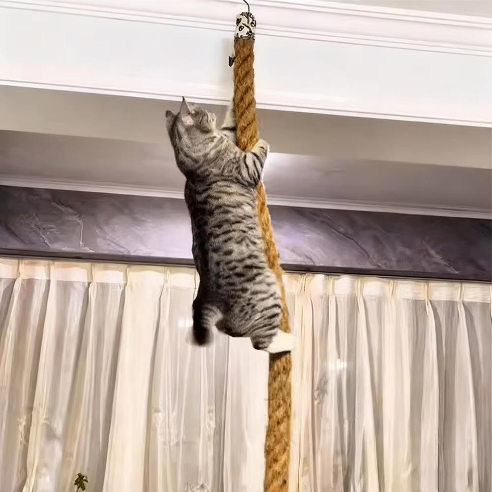 Wandmontierte Katzenkletterregale Katzenbaumturm Hängematte Kratzbäume Katzen Sitzstangen Kätzchen zum Schlafen Spielen Krallenschleifen