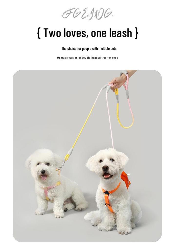 Gradient Anti-Tangle Dual Dog Leash with Two-Headed Design