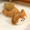 Animals Raccoon Plush Toy Wrist Pad Animal Plush Doll Desk Ornament Sitting Animals Plush  Children