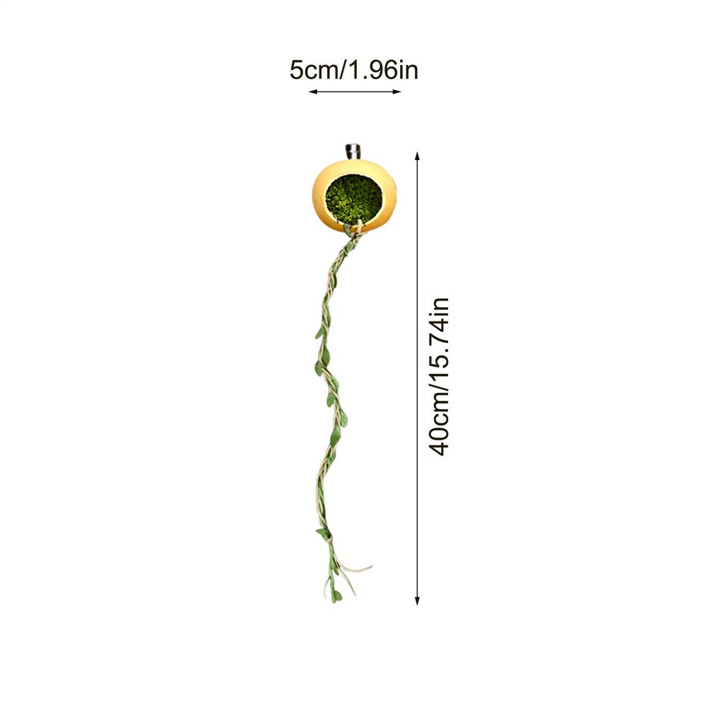 

Jumping Spider Hide Magnetic Jumping Spider Habitat Hideaway House Accessories for Arthropods Centipedes Geckos Crested Geckos