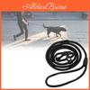 Perros – Collares y correas