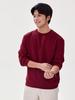 Customizable Unisex Dolphin Crew Neck Cotton Hoodie - Long Sleeve Casual Top
