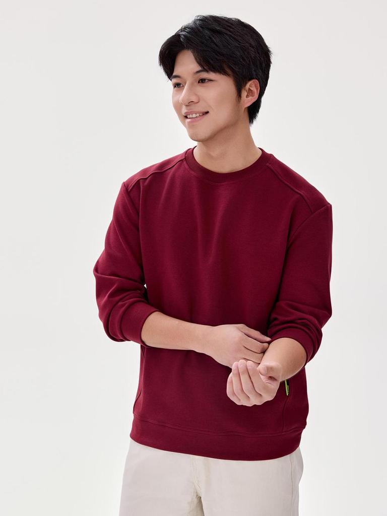 Customizable Unisex Dolphin Crew Neck Cotton Hoodie - Long Sleeve Casual Top