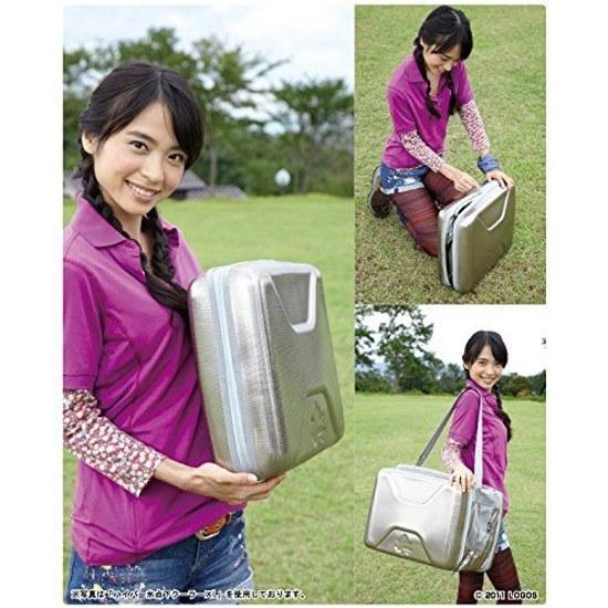 Logos Hyper Subzero Cooler XL Ice Pack GT-16Hard 1200g 2 pieces Bag Tote Type