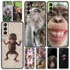 Handyhülle Für Samsung Galaxy S25 Edge S24 S23 S22 S21 Ultra S20 FE 5G S10 S10E S9 Plus Weiche TPU Hülle Niedlicher Lustiger Affe