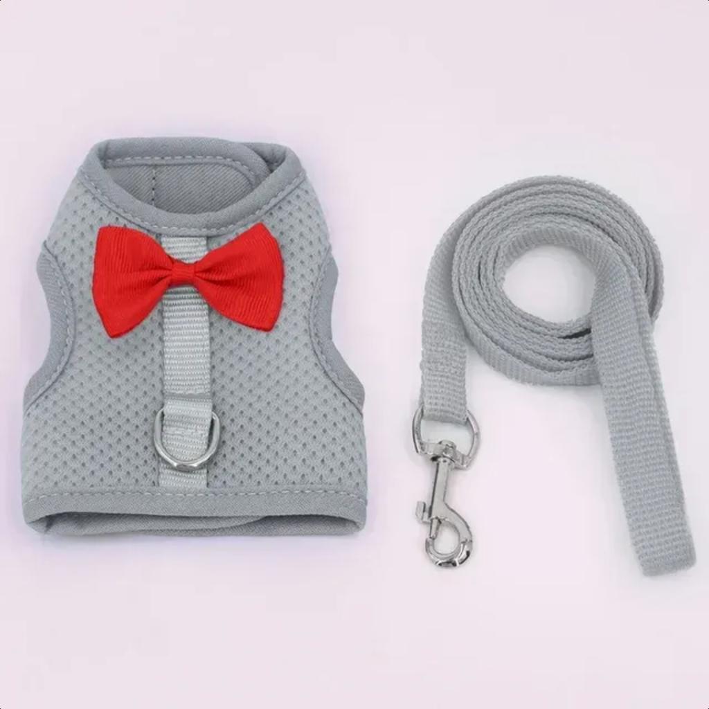 New Stylish and durable adjustable chest back pet lead rope for outdoor walks - Comfort and security for small pets like Golden