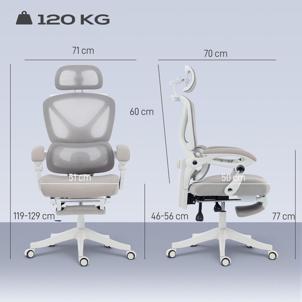 Reclining Mesh Desk Chair with Headrest, Lumbar Support, Footrest and Adjustable Height, Light Gray
