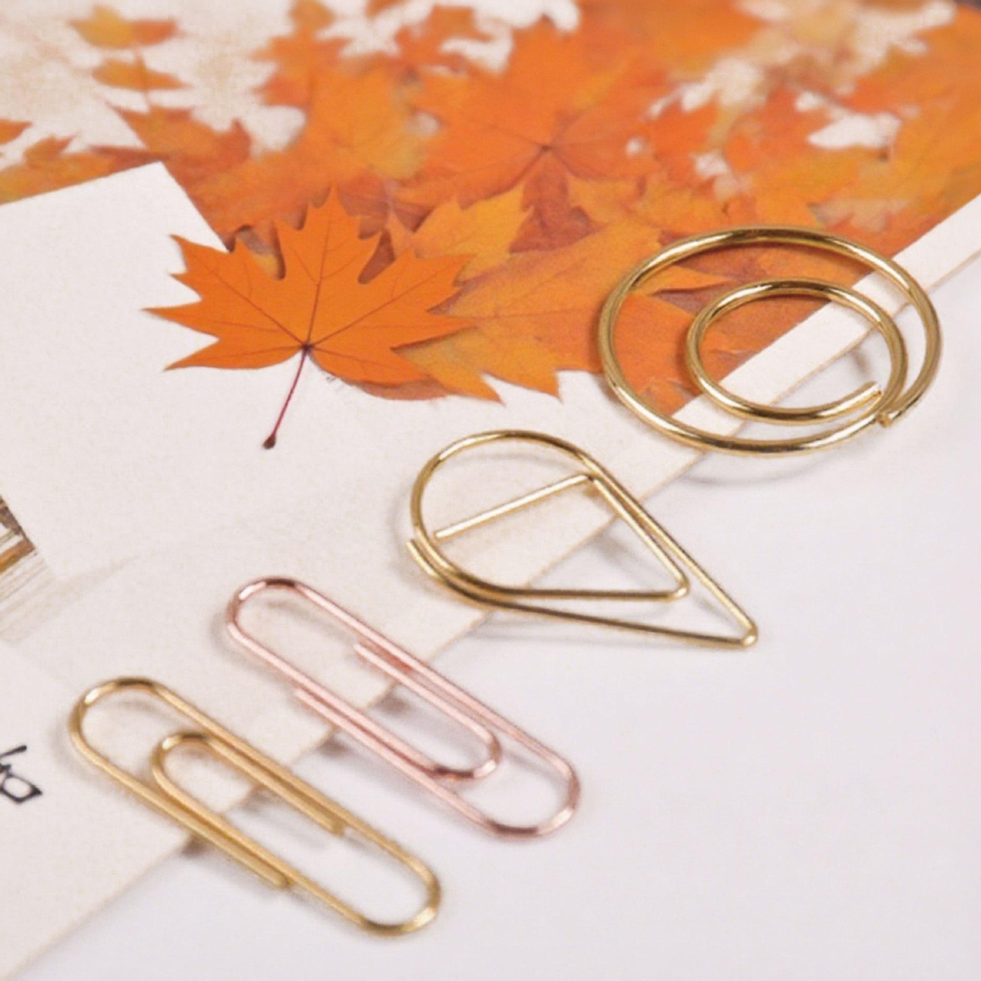 28mm Gold Water Drop Paperclips - Small Metal Clips Available 28MM Regular Paperclip [Gold]