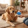 Professional Dog Nail File Sandpaper Grinding Pad Cat Grooming Tool  Grooming
