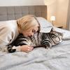 PP Cotton Filled Animal Body Pillow Plush Material Cat Keychain Animal Cushion Doll Toys  For Kids