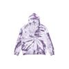 Sweatshirts Men's Purple Hooded Moderate Regular (Unisex) Sweatshirts DR2647 135
