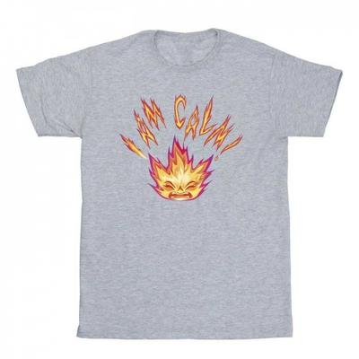 Elemental Mens I Am Calm T-Shirt