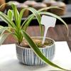 35pcs White T-Shaped Plastic Plant Tags For Outdoor Flower Beds Potted Plants Thickened Extra Large Long Handle Labels