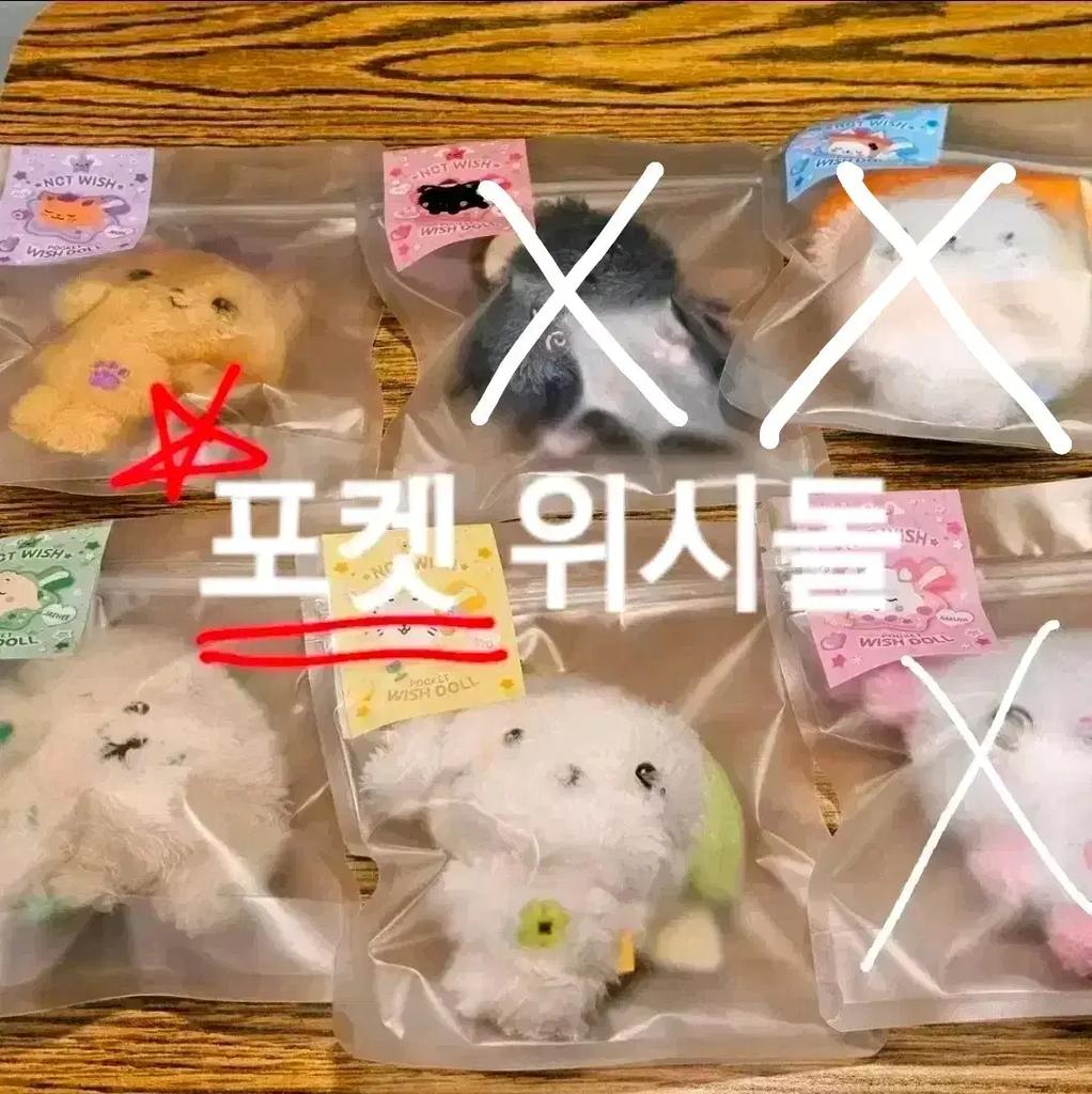 Unopened) Wish Pop-up Pocket Wish Dollar for sale and transfer Crepan