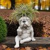 Bulldogge Hund Pflanzgefäß Lustiger Mittelfinger Hund Harz Blumentopf Niedliche Tierform