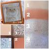 Venus Marble Eyeshadow Cat Series Tabby 1 piece (Brown Cat) (x 1)