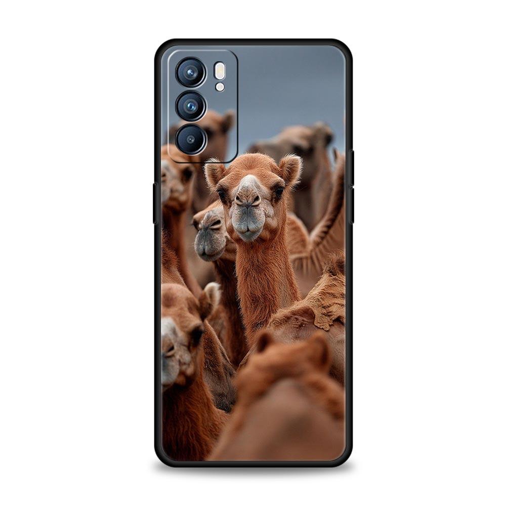 

Animal Camel Phone Case For Oppo Reno 13 12 11 10 7 F Find X5 X6 A98 A80 A79 A78 A57 A54 A31 A17 Pro 5G Soft TPU Cover Funda Bag Reno8 Pro