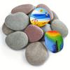 A Top Quality 12 Piece Hand-Painted River Stones for Art Craft And Garden Decorations Ideal for DIY Projects And Outdoor Design