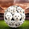 Cute Puppy Indoor Size 5 Soccer Ball Colorful Machine Stitched PVC Competition Ready Durable High-Bounce