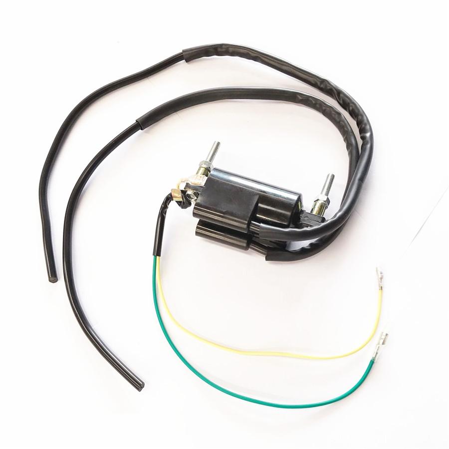 Ignition Coil Dual Wire 12V Fit for Honda Kawasaki Suzuki Yamaha