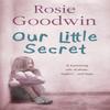 Our Little Secret by Rosie Goodwin Paperback Book 9780755334926