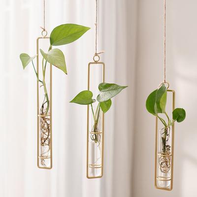 Wandhänger Pflanzgefäß Glas Pflanzgefäß Wandmontiert Dekorative Blumenvase Hydroponische Vase Wandvase Fensterdekoration für Balkon