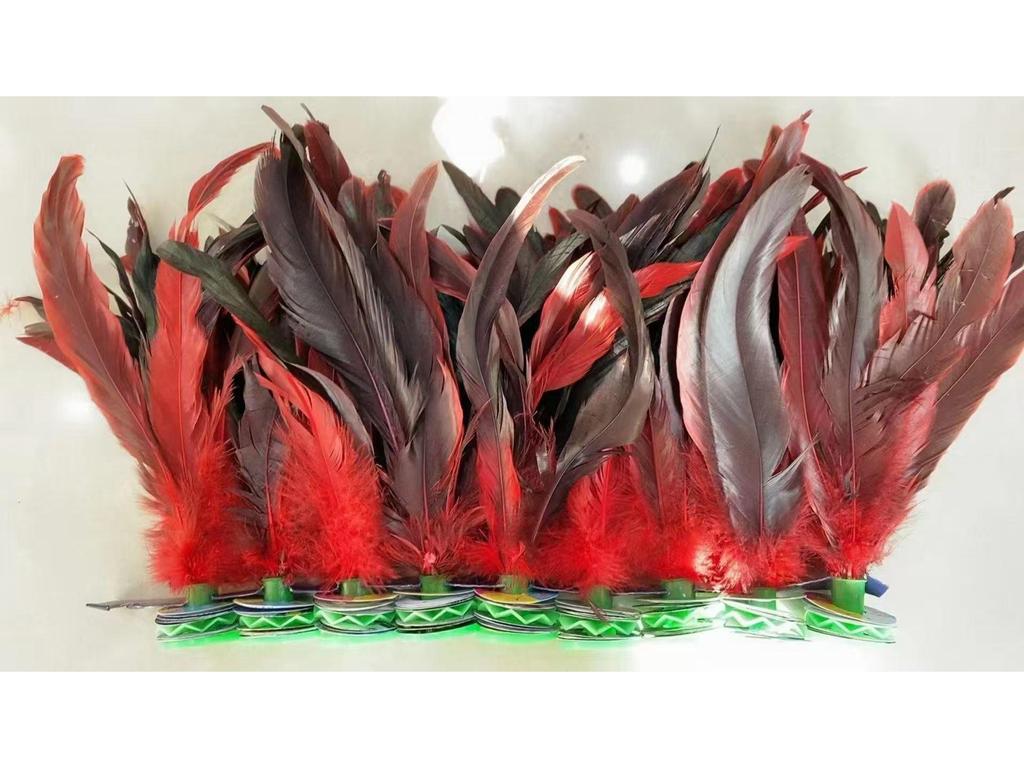 Jianzi Coloré à Plumes pour Étudiants - Grand, Plume d'Oie