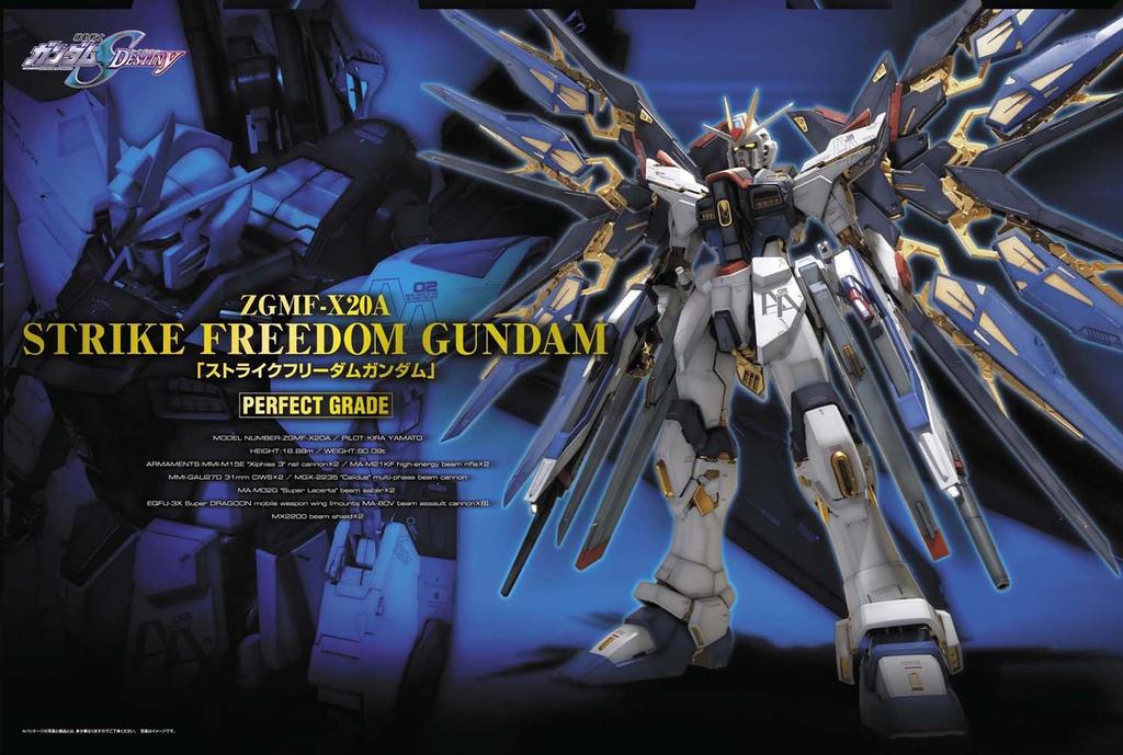 PG Strike Freedom Gundam-Anzug Gundam SEED 1/60 ZGMF-X20A (Mobiles Schicksal)