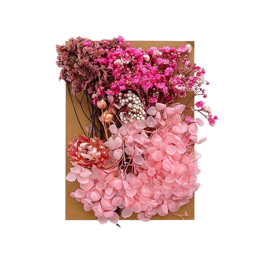 1 Bag Dried Flowers Pressed Dry Flower For DIY Phone Case Epoxy Resin Filling Pendant Jewelry Making Crafts Nail Art Decor