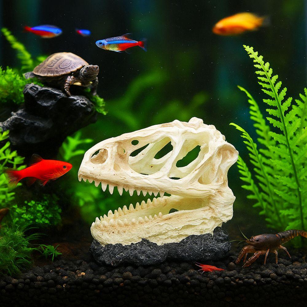 Resin Dinosaur Skeleton Lifelike Dinosaur Head Skull Ornament Animal Skull Ornament  Aquarium