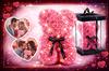 Bear Made of Rose Petals Valentine's Day Gift Women's Day Xxl Large Beautiful + Led