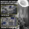 High Performances Powerful Smokes Removal Exhaust Solution With Integrated Light For Microscope And Welding Applications