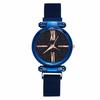 Women watches hours Mesh Magnet Starry Sky Watch Luxury Ladies Roma Dial Quartz Wristwatch