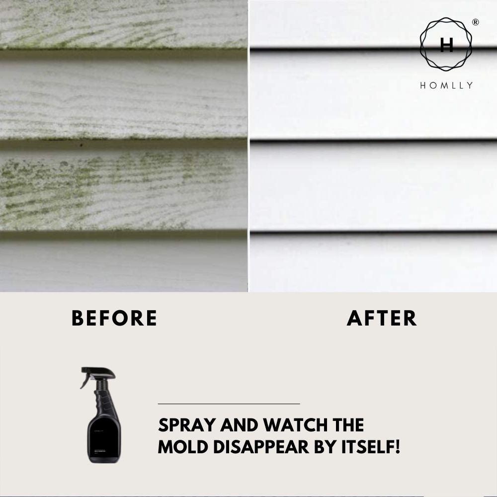 Homlly Magic Wall Anti Mold Mould Mildew Stain Remover Spray (500ml) (X2PCS)