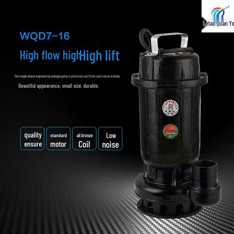 750W 2-inch Submersible Sewage Pump