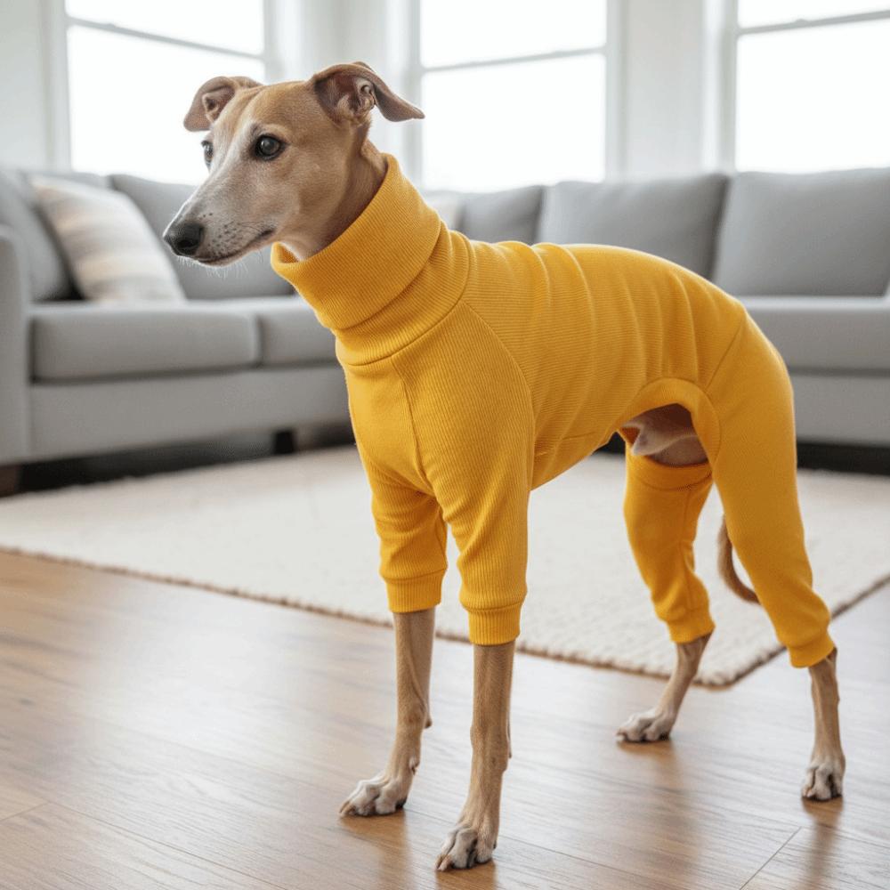 Elastic Pet Turtleneck Clothes Warm Dog Four Legged Clothes Pet Sweater Pet Pajamas  Outdoor