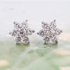 Korean Style 925 Sterling Silver Snowflake Zircon Earrings for Women - Christmas Jewelry