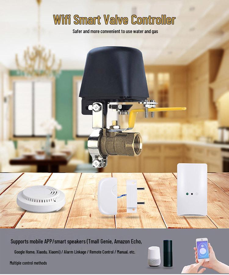 YiWeiLian Smart Electric Steam Valve with Alexa Remote Control