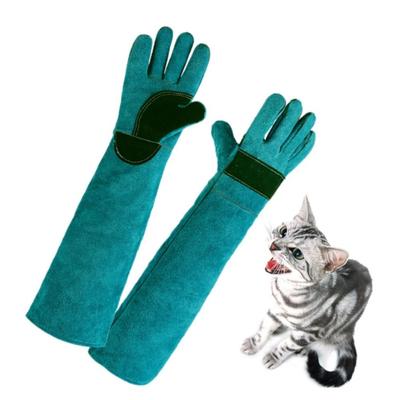 1 Paar Anti-Scratch-Schutzhandschuhe, bissfeste Tier-Anti-Biss-Handschuhe für Katzen