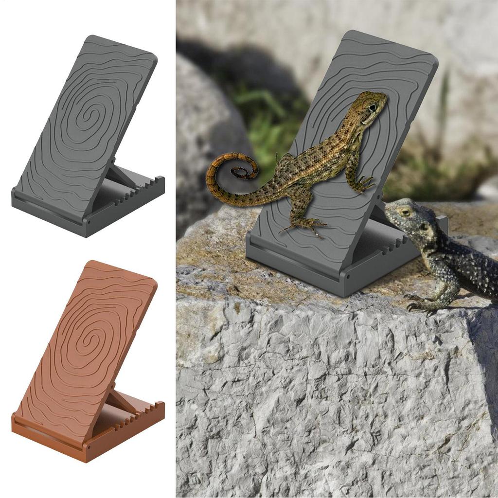Rampe de bronzage pour dragon barbu Habitat de reptile Rampe d'escalier pour dragon barbu Accessoires de terrarium pliables Pour le repos des lézards