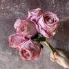 6pcs Dry Burned Roses, Artificial Rose Bouquet,Faux Floral Arrangement for Wedding Party Living Room Vase Table Centerpiece Arrangement Garden Decor
