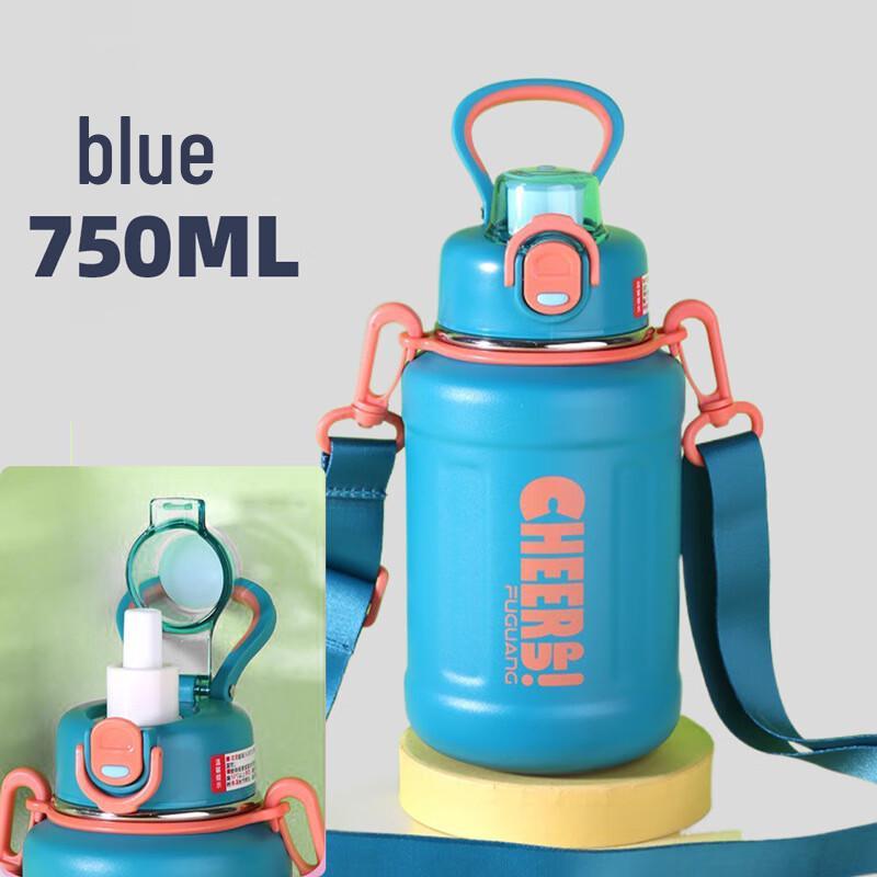 FUGUANG 750ml Insulated Stainless Steel Straw Bottle