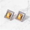 2025 Stylish Stainless Steel Rectangular Color Block Earrings - Trendy Niche Design