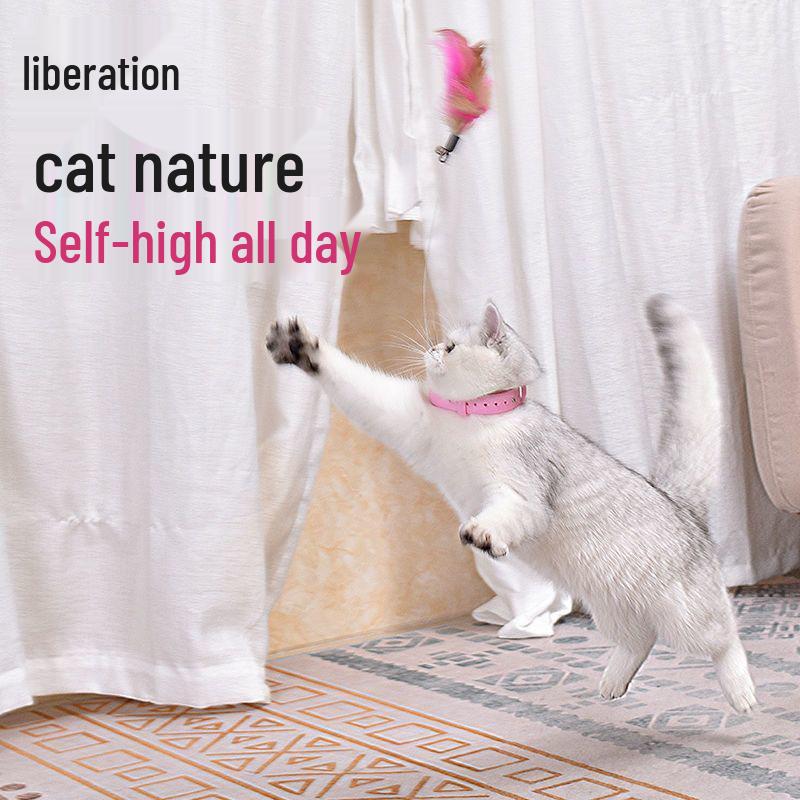 Interactive Feather Cat Teaser with Bell & Collar