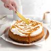 Stainless Steel Cake & Pizza Cutter and Spatula Set with Gift Box